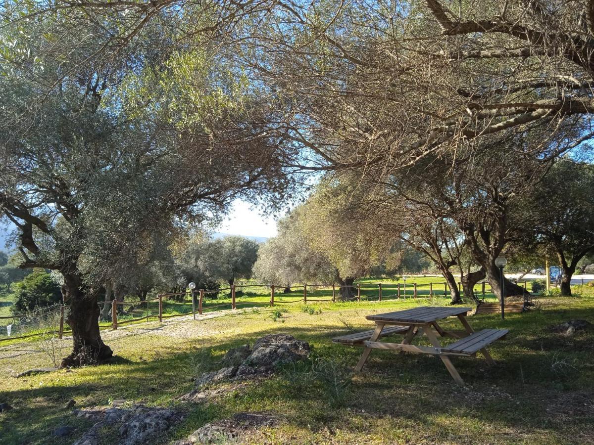 Vistamare Farm stay Orosei