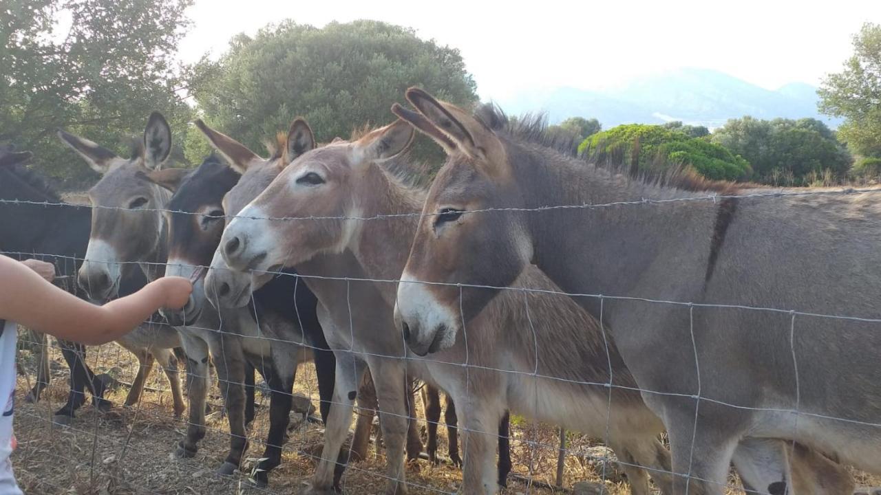 Vistamare Farm stay