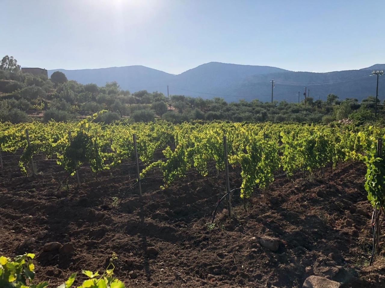 Farm stay Vistamare Orosei